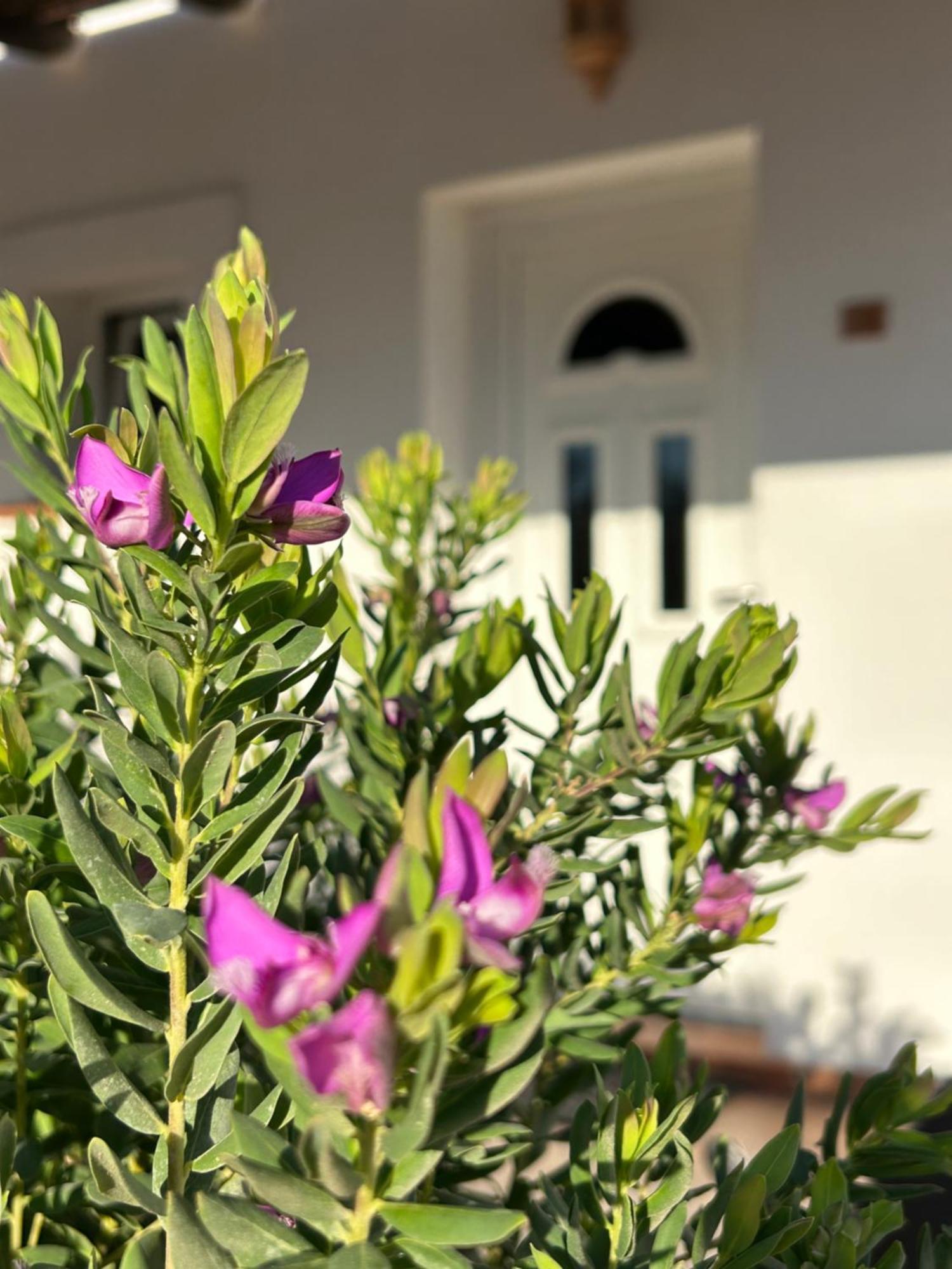 Hotel Oasi Di Casablanca LMP Zewnętrze zdjęcie
