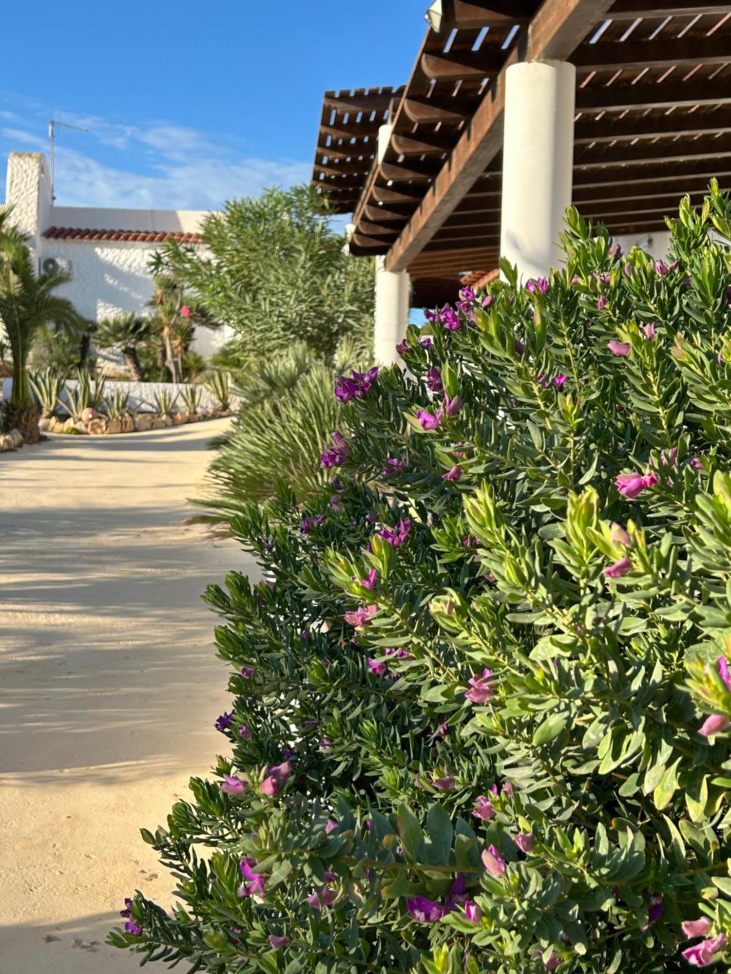 Hotel Oasi Di Casablanca LMP Zewnętrze zdjęcie