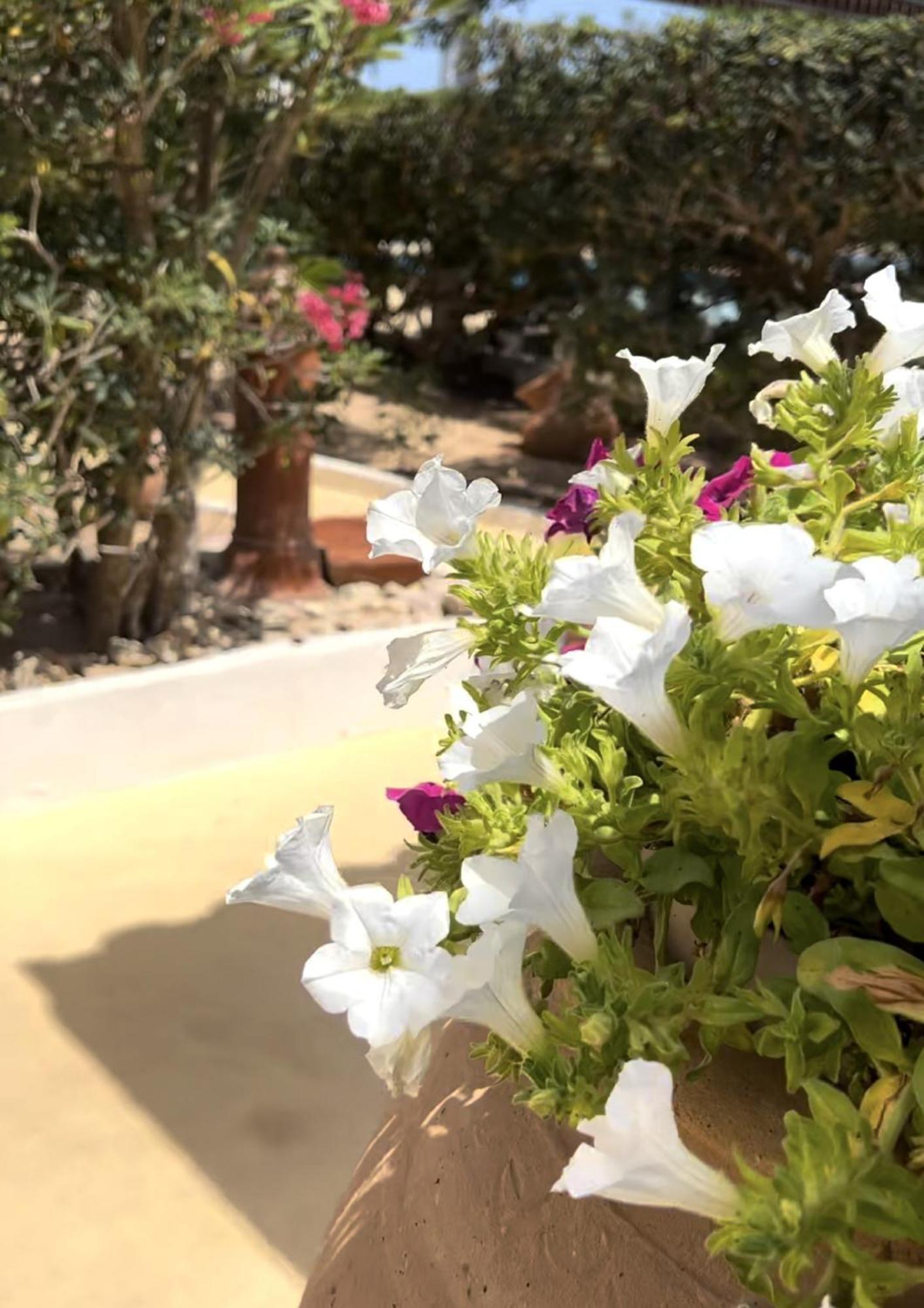Hotel Oasi Di Casablanca LMP Zewnętrze zdjęcie