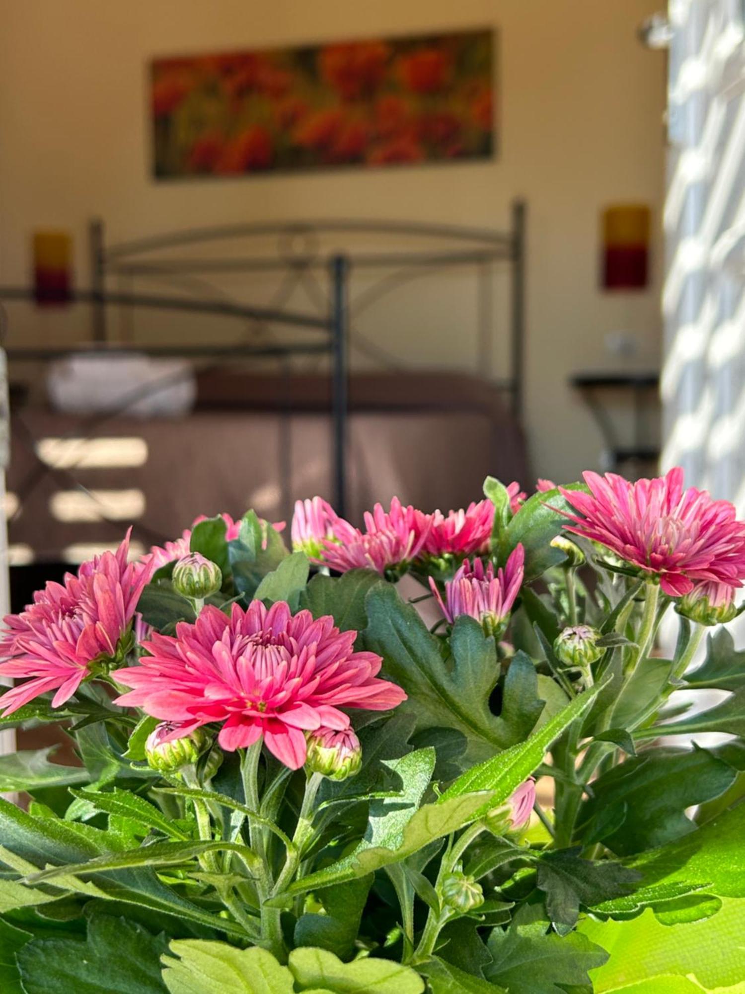Hotel Oasi Di Casablanca LMP Zewnętrze zdjęcie