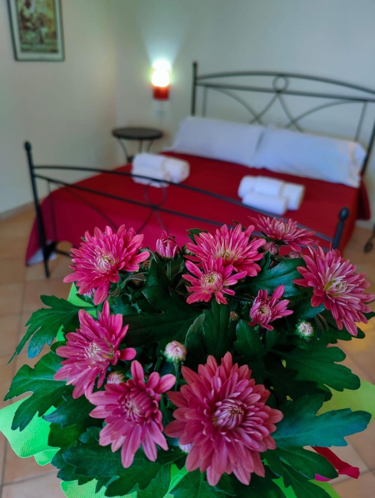 Hotel Oasi Di Casablanca LMP Zewnętrze zdjęcie